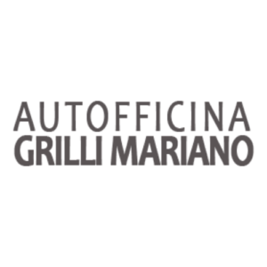autofficina_grilli_metauro_basket_academy_partner (15)
